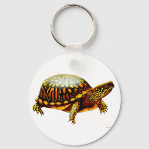 Kasten-Schildkröte-Schlüsselanhänger Schlüsselanhänger
