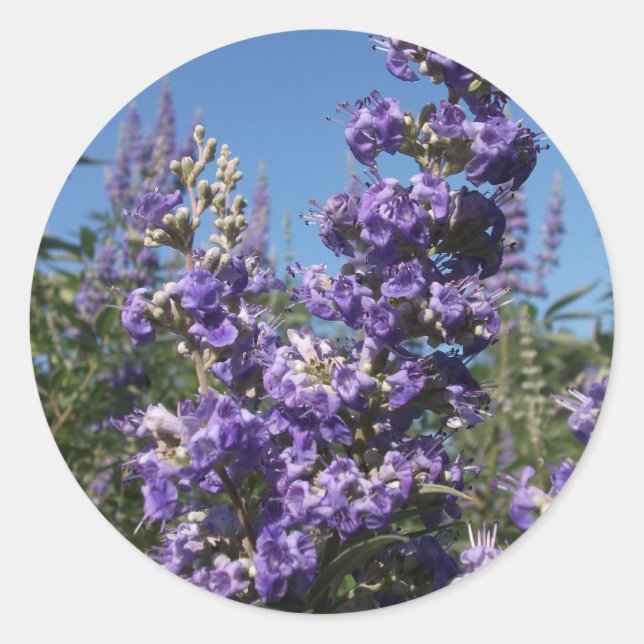 Kastenbaum Purple Flowers Runder Aufkleber (Vorderseite)