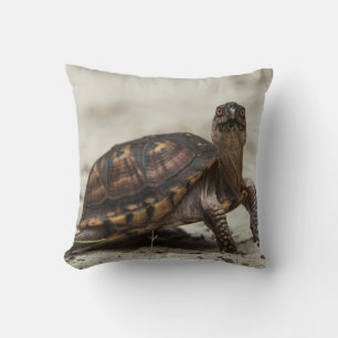 Kastenschildkröte Kissen