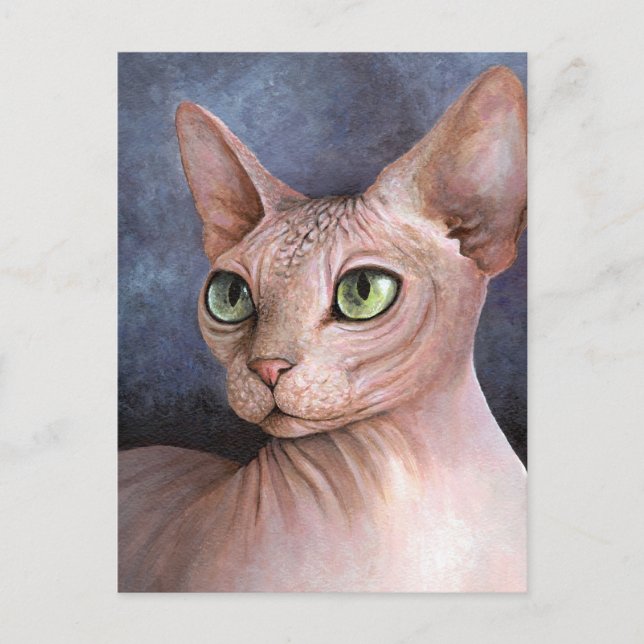 Kat 578 Sphynx Postkarte (Vorderseite)