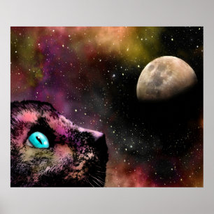 Kat 619 poster