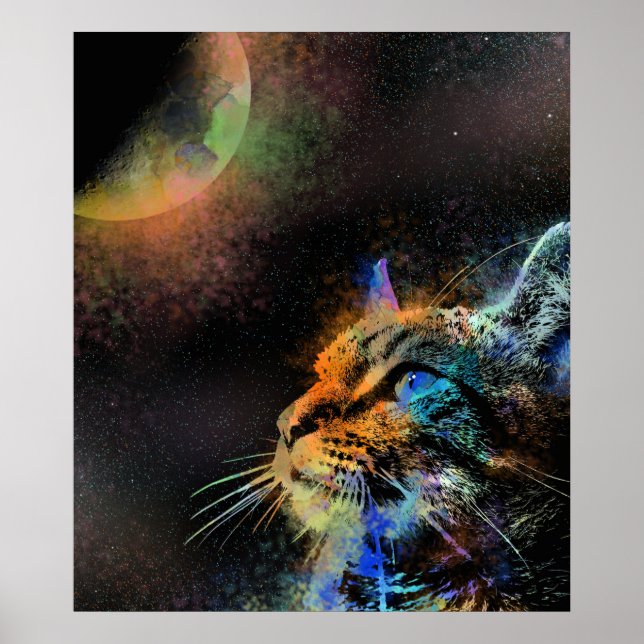 Kat 624 poster (Vorne)