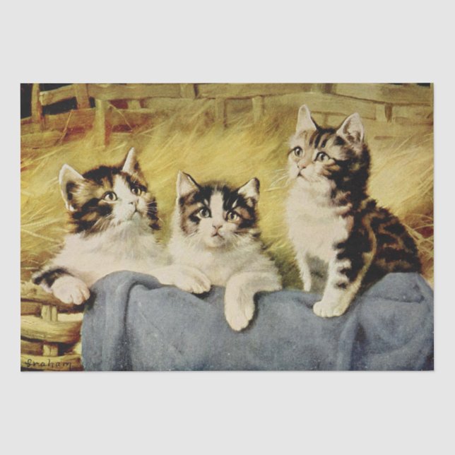 Kat Ephemera Decoupage Kittens in der Scheune Seidenpapier (Vorderseite)