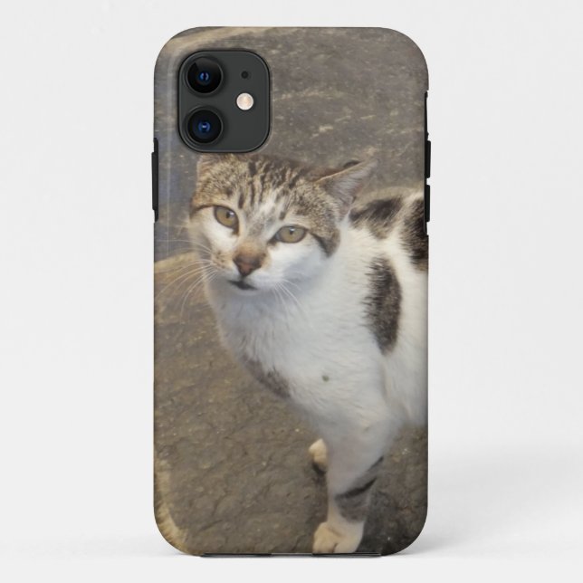 Kat iPhone 5 Ehegatte Case-Mate iPhone Hülle (Rückseite)