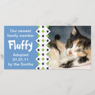 Kat/Kätzchen Adoption Ankündigung