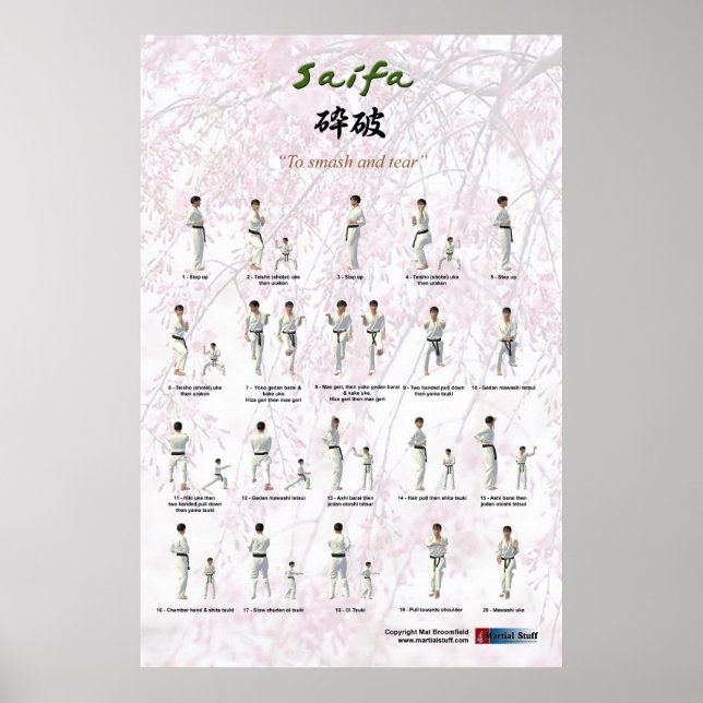 Kata Saifa - Goju Ryu-Version Poster (Vorne)