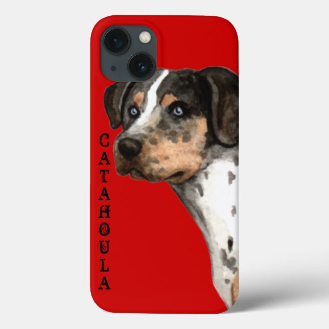 Katahoula-Farbblock Case-Mate iPhone Hülle (Rückseite)