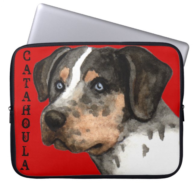 Katahoula-Farbblock Laptopschutzhülle (Vorderseite)