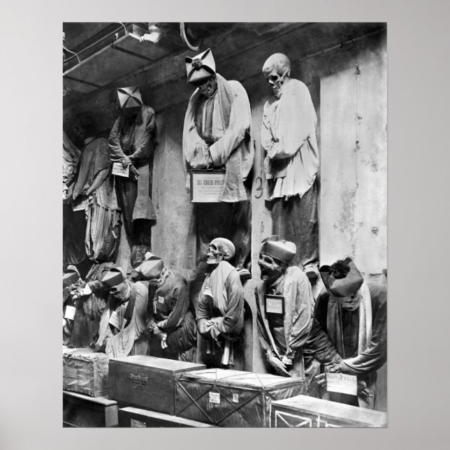 Katakombenmuscheln in Palermo, Italien Poster (Vorne)