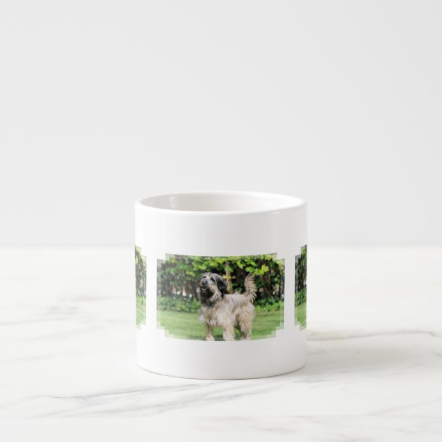 Katalanischer Schäferhund - Peppa Espressotasse (Vorderseite)