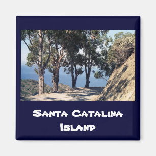 Katalina Magnet