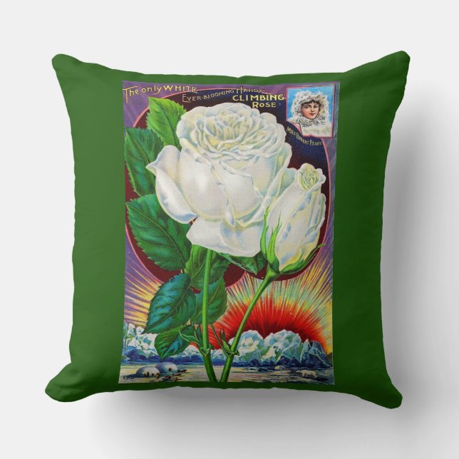 Katalogbild der 1890er Jahre White Rose Kissen (Vorderseite)