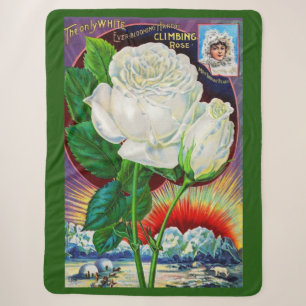 Katalogbild der 1890er Jahre White Rose Sherpadecke