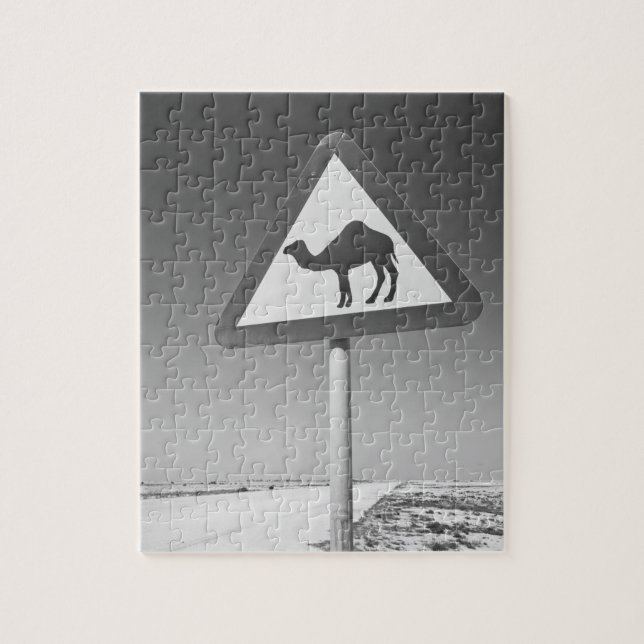 Katar, Al Zubarah. Camel Crossing Road (Vertikal)