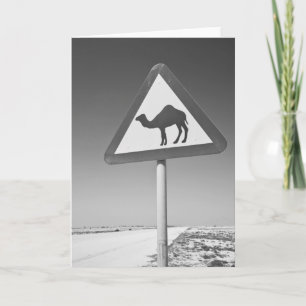 Katar, Al Zubarah. Camel Crossing Road Feiertagskarte