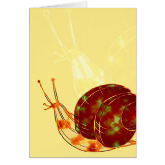 Katatsumuri ou carte d'escargot