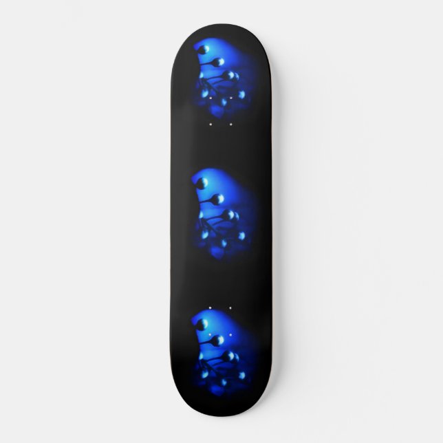 Kate Skateboard (Vorderseite)