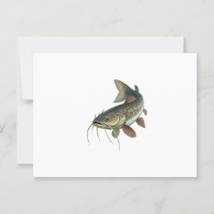 Katfisch Postkarte