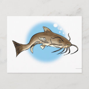 Katfisch Postkarte