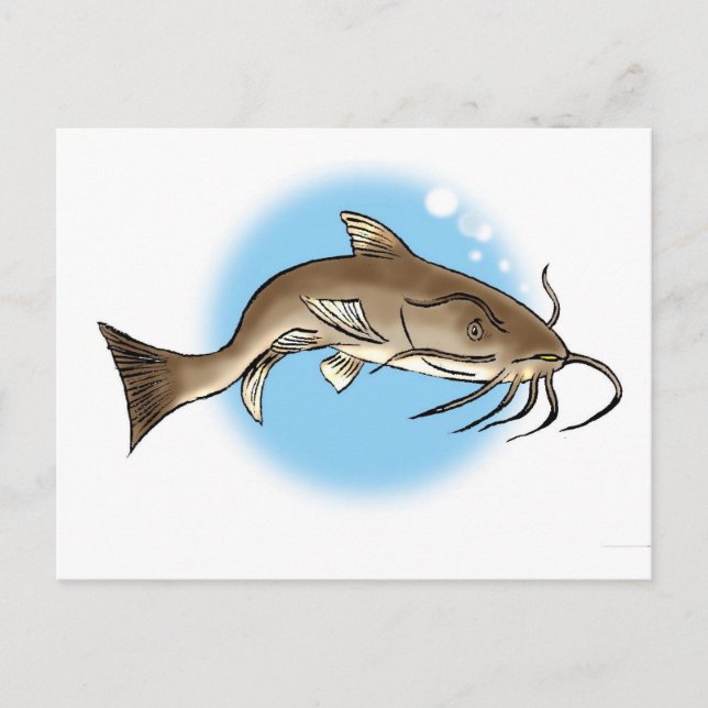Katfisch Postkarte (Vorderseite)
