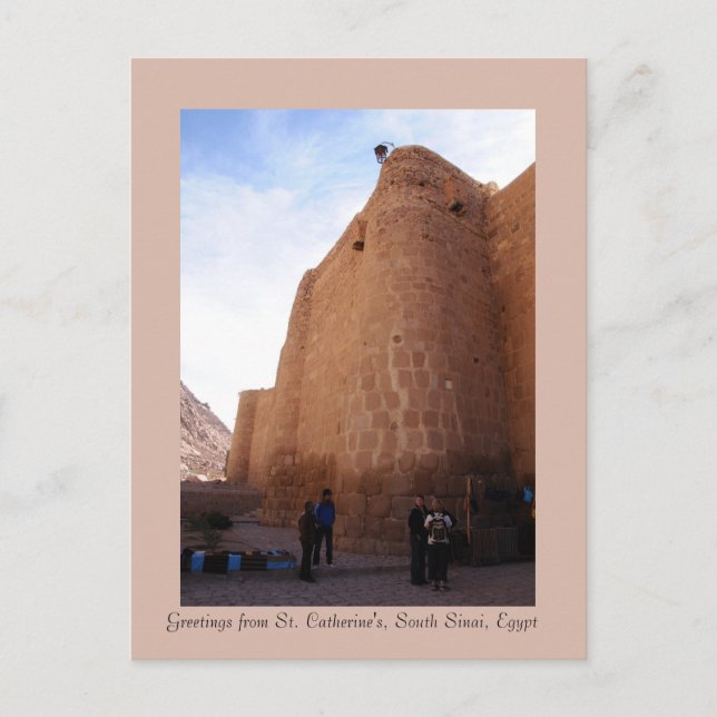 Katharina-Kloster, Südsinai, Ägypten Postkarte (Vorderseite)