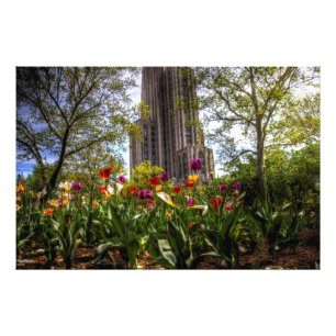 Kathedrale des Lernens, Universität von Pittsburgh Fotodruck