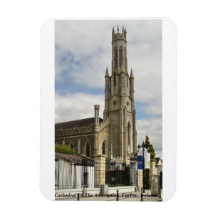 Kathedrale Mariä Himmelfahrt in Carlow, Irland Magnet