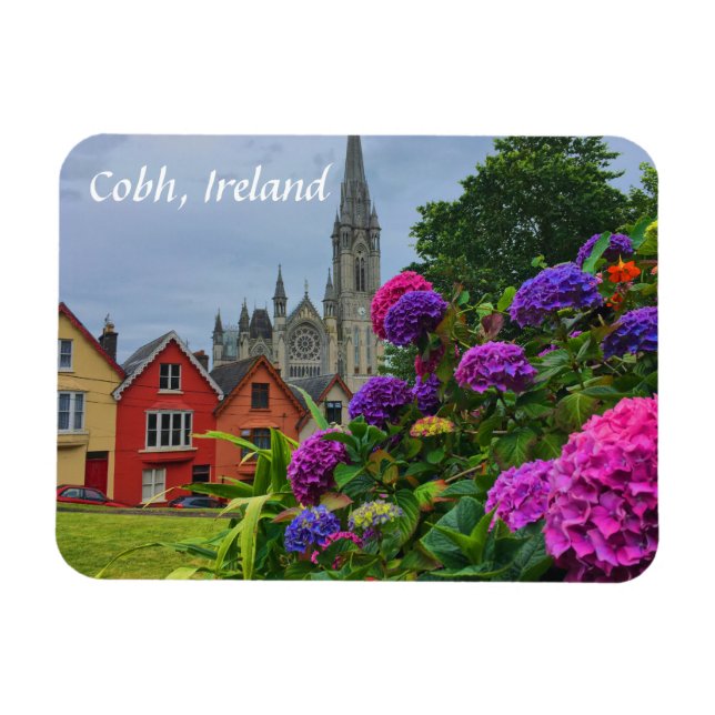 Kathedrale und Blume Cobh Irland Magnet (Horizontal)
