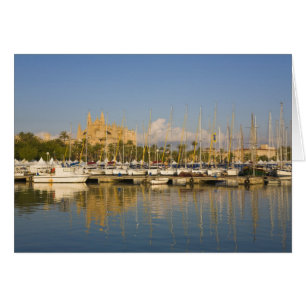 Kathedrale und Marina, Palma, Mallorca, Spanien
