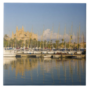 Kathedrale und Marina, Palma, Mallorca, Spanien Fliese