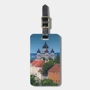 Kathedrale und Stadtbild  Estland Gepäckanhänger
