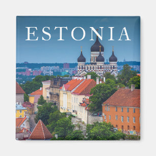 Kathedrale und Stadtbild Estland Magnet
