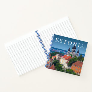 Kathedrale und Stadtbild Estland Notizbuch