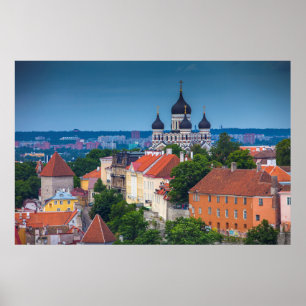 Kathedrale und Stadtbild Estland Poster