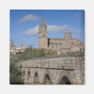 Kathedralen von Salamanca, vom Puente Romano aus g Magnet