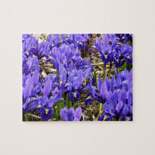 Katherine Hodgkin Irises Lila Frühlingsfloral