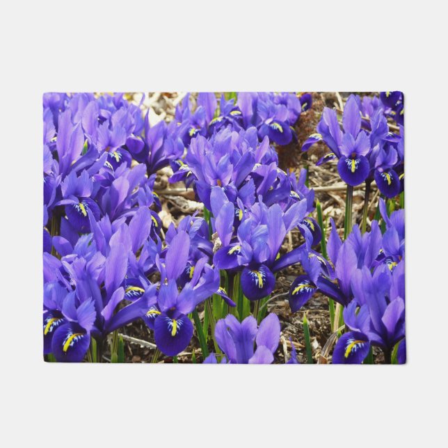 Katherine Hodgkin Irises Lila Frühlingsfloral Fußmatte (Vorderseite)