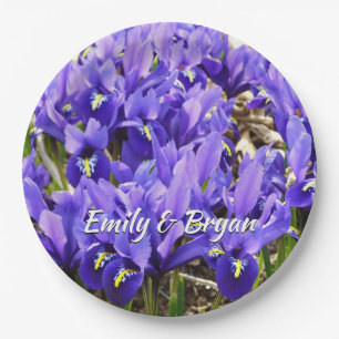 Katherine Hodgkin Irises Lila Frühlingsfloral Pappteller