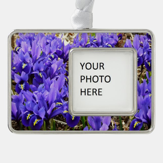 Katherine Hodgkin Irises Lila Frühlingsfloral Rahmen-Ornament Silber (Vorderseite)