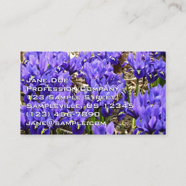 Katherine Hodgkin Irises Lila Frühlingsfloral Visitenkarte (Vorderseite)