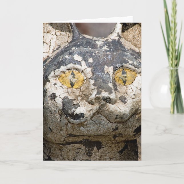 Kathes Katze, die Sie betrachtet Karte (Vorderseite)