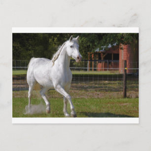 Katie Running Postkarte