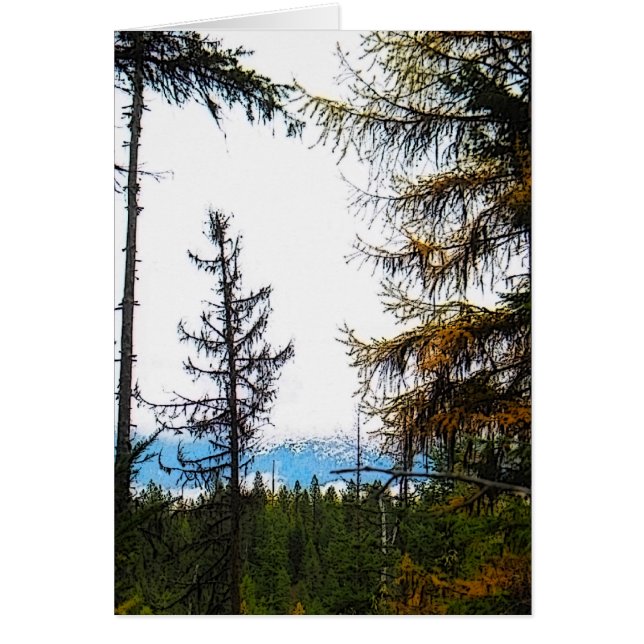 Katka Mountain (Vorne)