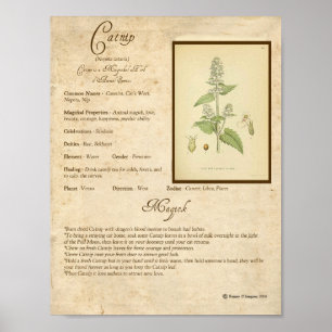 KATNIP MAGICK HERB POSTER