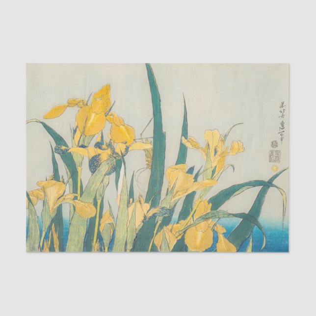 Katsushika Hokusai - Grasshopper und Iris Seidenpapier (Vorderseite)