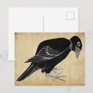 Katsushika Hokusais Krähe 1814 Postkarte