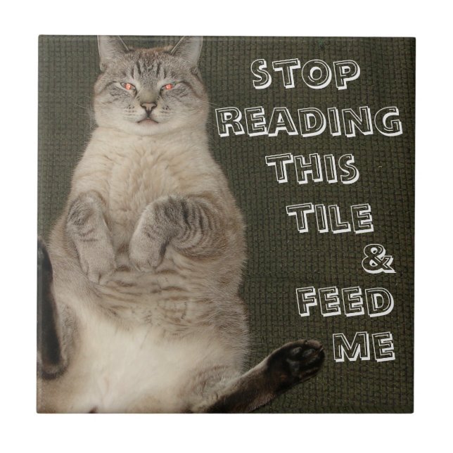 KATTE "STOPP READING THIS TILE & FÜTTRE ME" Tile Fliese (Vorderseite)