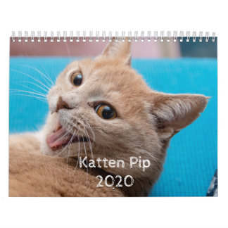 Katten Pip - Kalender 2020 (2)