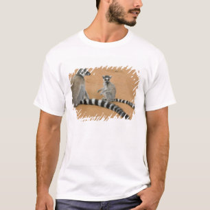 Kattenmakis, (Lemur catta), Berenty T-Shirt