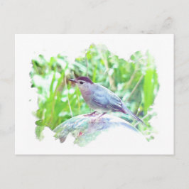 Katvogel auf einem Ball Postkarte